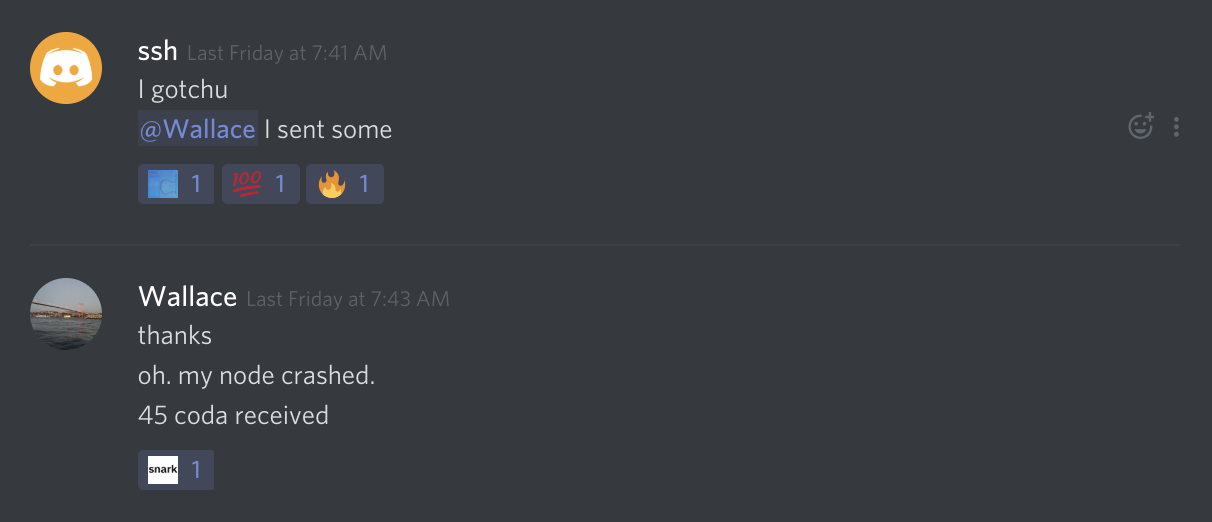 Screenshot of the Discord chat where ssh helped Wallace